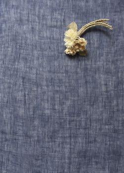 リネンガーゼ アンヌ　ブルー